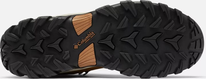 Columbia Men's Newton Ridge Plus II Waterproof Elk/Black Columbia
