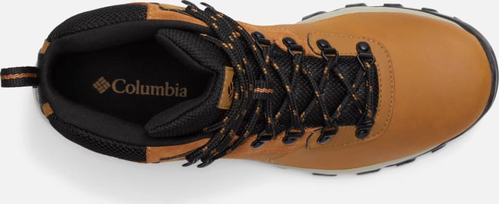 Columbia Men's Newton Ridge Plus II Waterproof Elk/Black Columbia