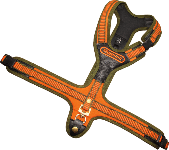 NIggeloh Follow Harness Large Orange NIggeloh