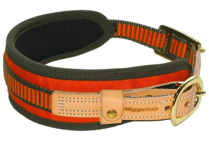 NIggeloh Tracking Collar Orange NIggeloh