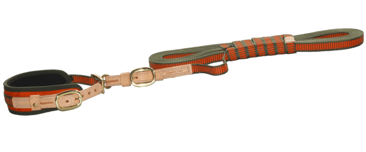 NIggeloh Tracking Collar Orange NIggeloh