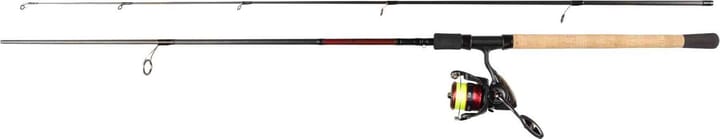 Daiwa Ninja Lt Pmc Daiwa