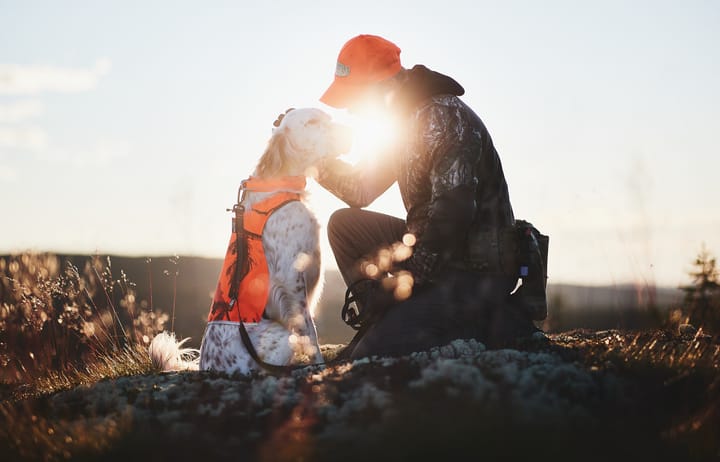 Camo Cover orange Non-stop Dogwear