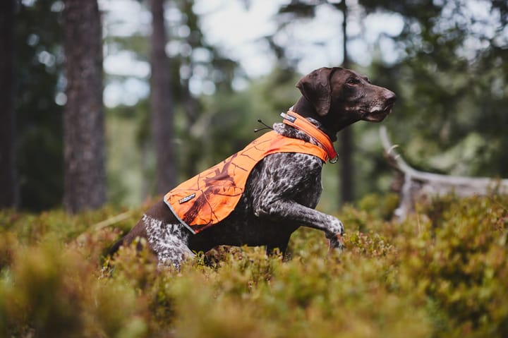 Camo Cover orange Non-stop Dogwear