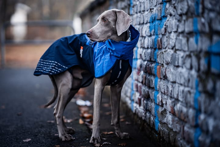 Non-stop Dogwear Fjord Raincoat - Small Sizes Orange/Black Non-stop Dogwear