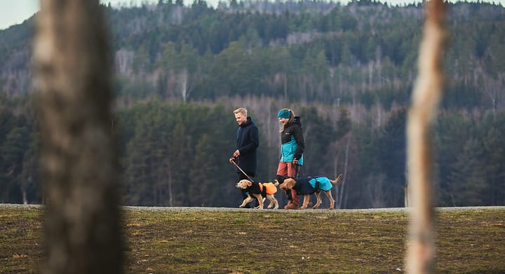 Glacier Dog Jacket 2.0 - Small Sizes black/orange Non-stop Dogwear