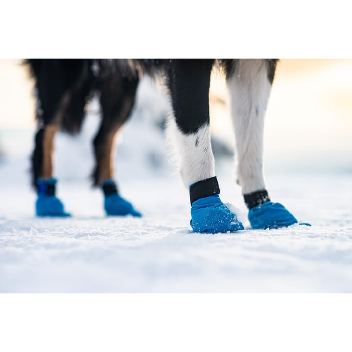 Non-stop Dogwear Long Distance Booties 4-pack (2021) Blue Non-stop Dogwear