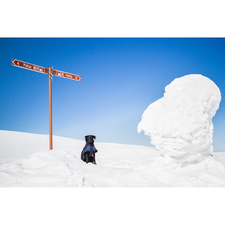 Non-stop Dogwear Pro Warm Jacket Black/Blue Non-stop Dogwear