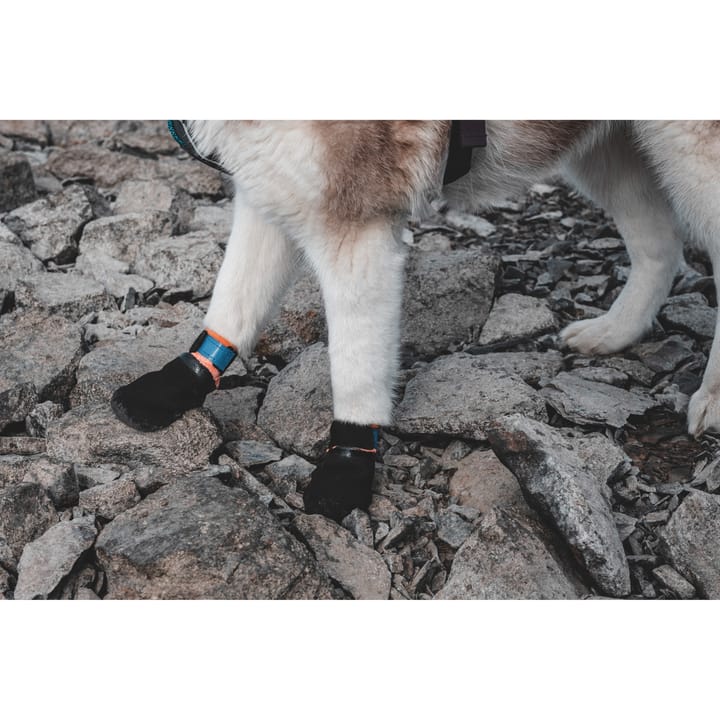 Non-stop Dogwear Protector Bootie 4pk Black Non-stop Dogwear Non-stop Dogwear Protector Bootie 4pk Black Non-stop Dogwear