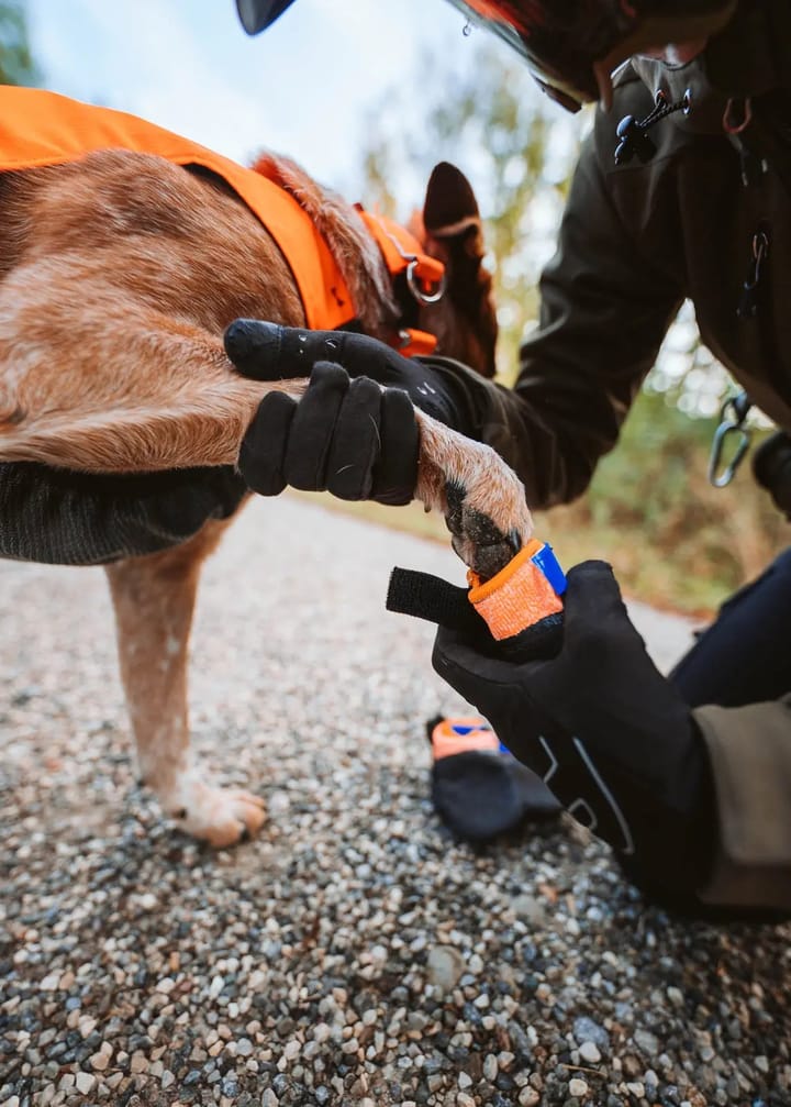 Non-stop Dogwear Protector Bootie 4pk Black/Orange Non-stop Dogwear