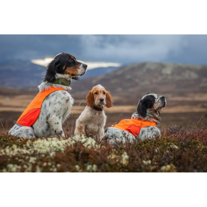 Non-stop Dogwear Protector Cover Orange Non-stop Dogwear