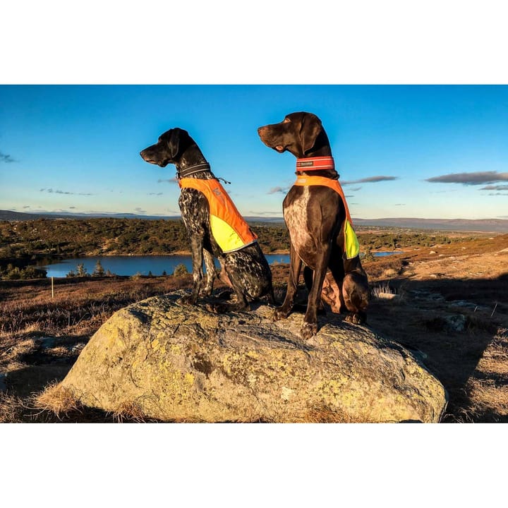 Non-stop Dogwear Protector Cover Orange Non-stop Dogwear
