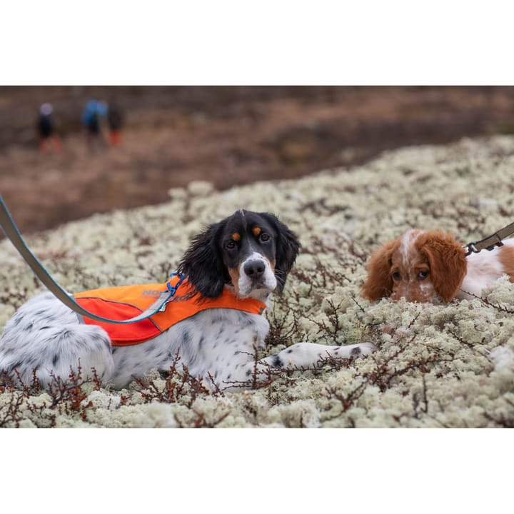 Non-stop Dogwear Protector Cover Orange Non-stop Dogwear