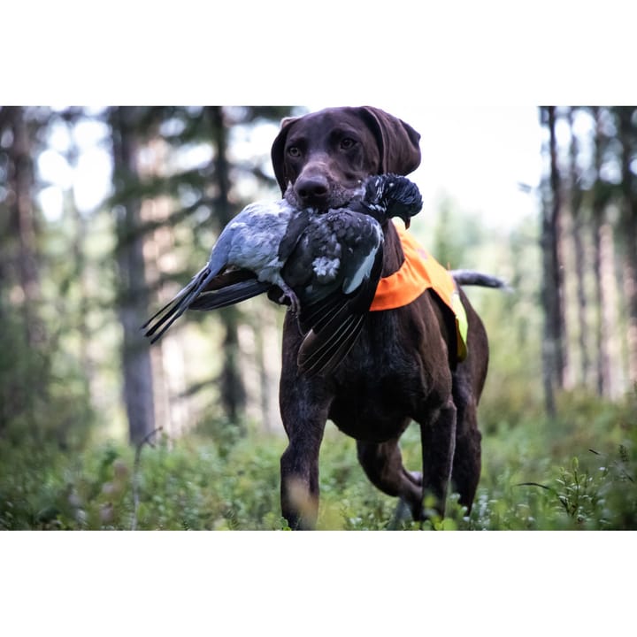 Non-stop Dogwear Protector Cover Orange Non-stop Dogwear