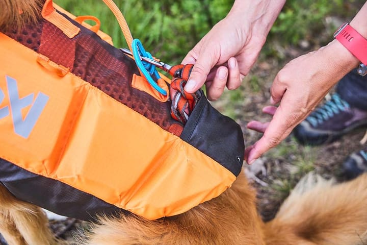 Non-stop Dogwear Protector Life Jacket Size 7 Black/Orange Non-stop Dogwear