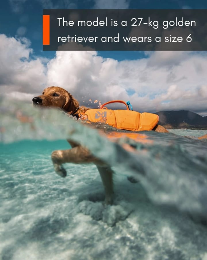 Non-stop Dogwear Protector Life Jacket Size 2-4 Black/Orange Non-stop Dogwear