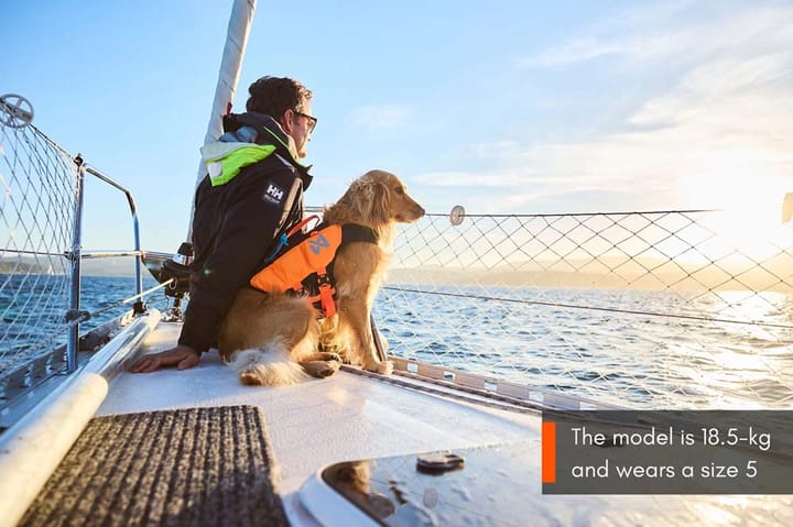 Non-stop Dogwear Protector Life Jacket Size 5-7 Black/Orange Non-stop Dogwear
