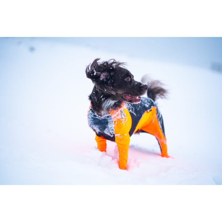 Non-stop Dogwear Protector Snow Male Orange/Black Non-stop Dogwear