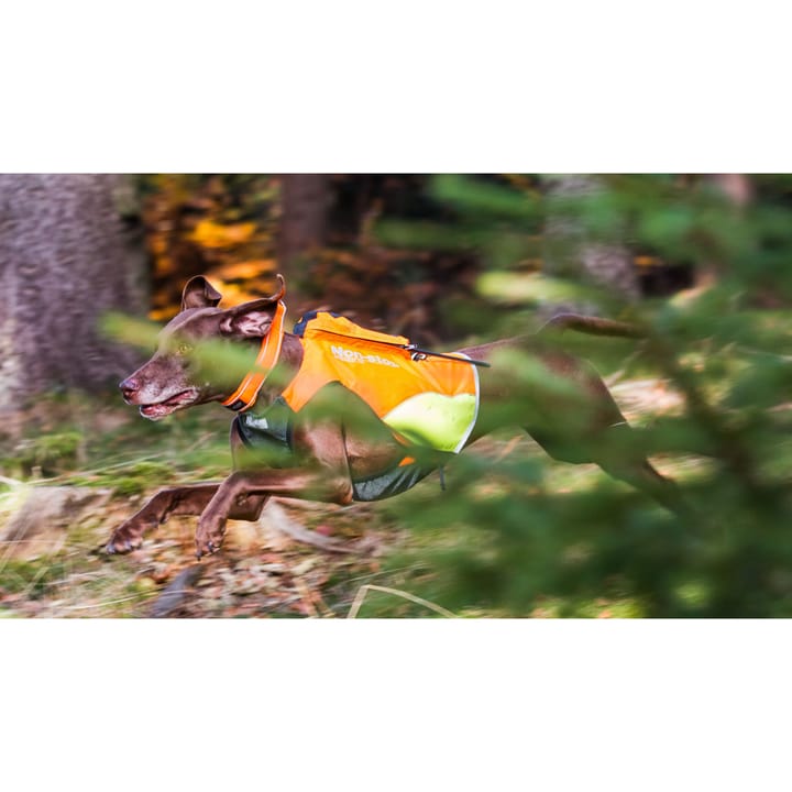 Non-stop Dogwear Protector Vest Gps Orange Non-stop Dogwear