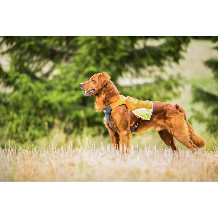 Non-stop Dogwear Protector Vest Orange Non-stop Dogwear