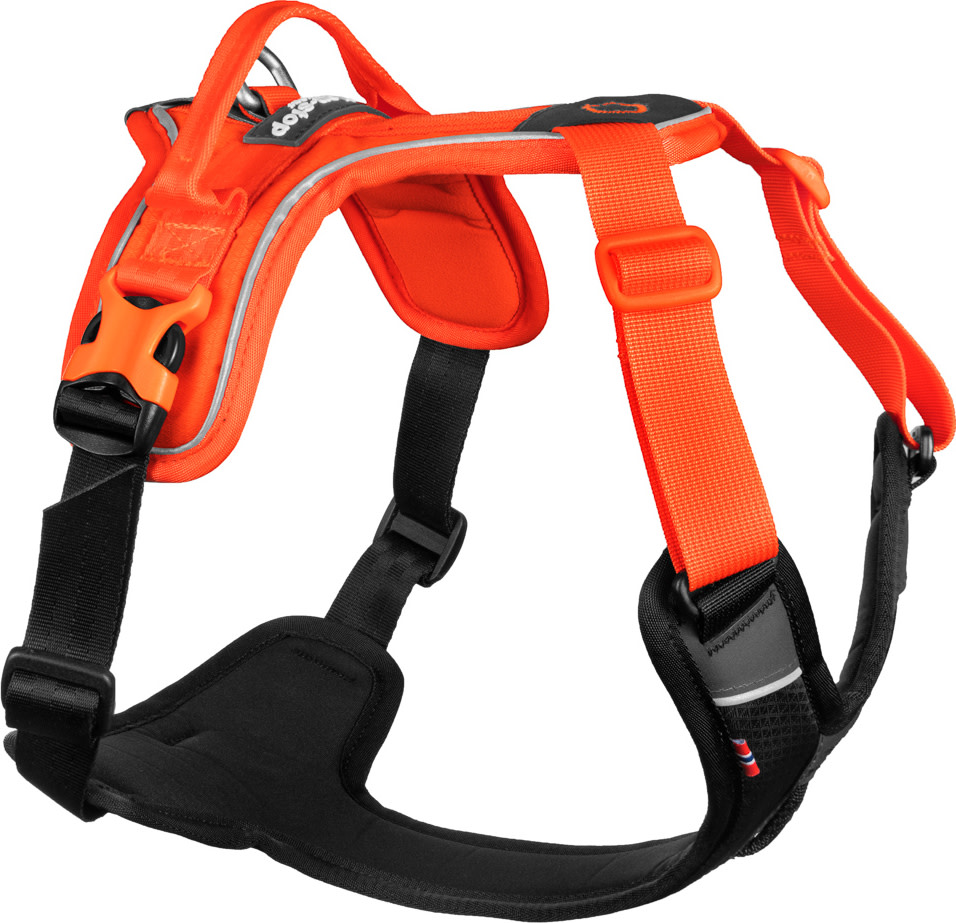 Ramble Harness orange