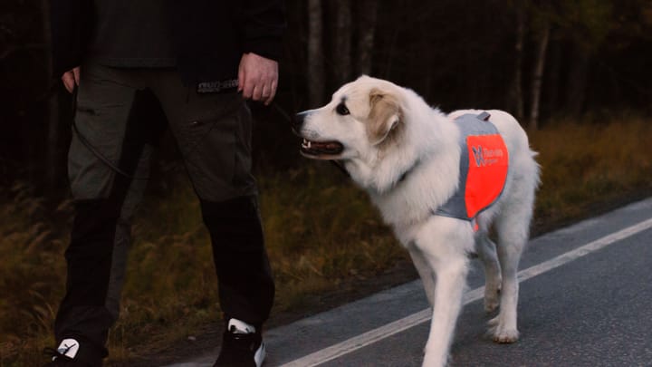 Non-stop Dogwear Reflection Blanket Orange Non-stop Dogwear