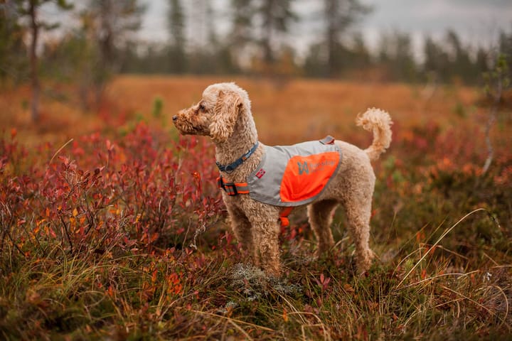 Non-stop Dogwear Reflection Blanket Orange Non-stop Dogwear