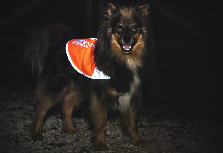 Non-stop Dogwear Reflection Blanket Orange Non-stop Dogwear