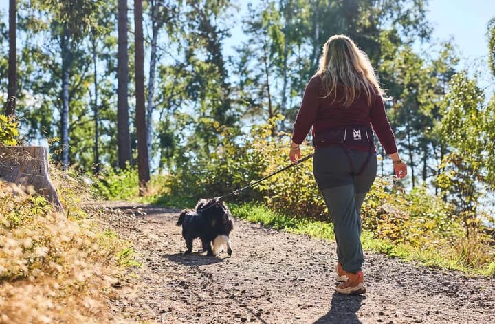 Non-stop Dogwear Trekking Belt 2.0 Black/Grey Non-stop Dogwear