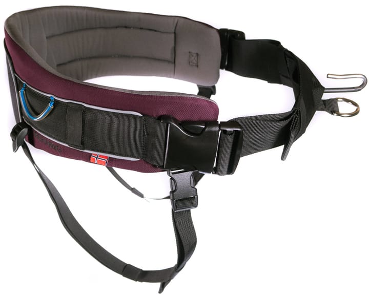 Non-stop Dogwear Trekking Belt  Purple Non-stop Dogwear
