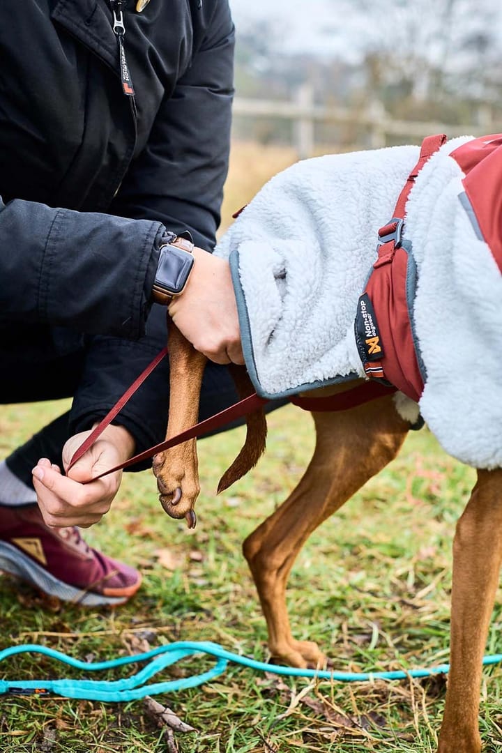Non-stop Dogwear Trekking Fleece Jacket Grey/Wine/Teal Non-stop Dogwear