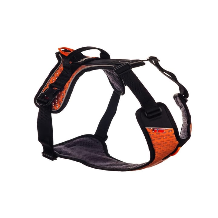 Nonstop Dogwear Ultra Harness Orange Buy Nonstop Dogwear Ultra