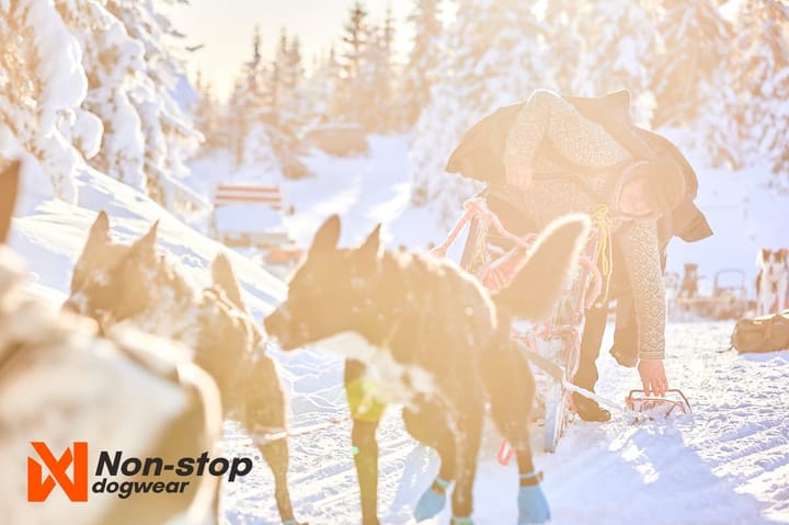 Non-stoppolar Jakka Pro+ Black Non-stop Polar Non-stoppolar Jakka Pro+ Black Non-stop Polar