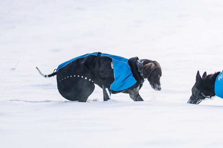 Non-Stop Dogwear Pro Alpha Warm Jacket, Black/Blue Non-stop Dogwear Non-Stop Dogwear Pro Alpha Warm Jacket, Black/Blue Non-stop Dogwear