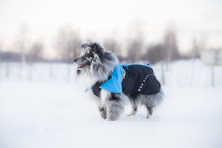 Non-Stop Dogwear Pro Alpha Warm Jacket, Black/Blue Non-stop Dogwear Non-Stop Dogwear Pro Alpha Warm Jacket, Black/Blue Non-stop Dogwear