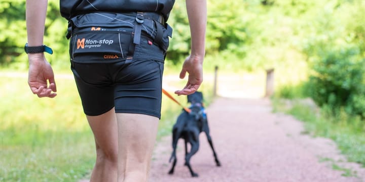 Non-stop Dogwear CaniX Belt Black Non-stop Dogwear