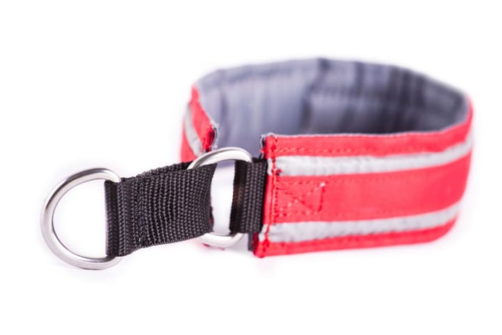 Non-Stop Dogwear Halfchoke Red Non-stop Dogwear