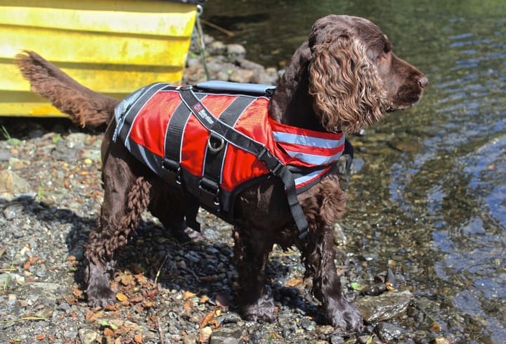 Non-stop Dogwear Safe Life Vest Red Non-stop Dogwear Non-stop Dogwear Safe Life Vest Red Non-stop Dogwear
