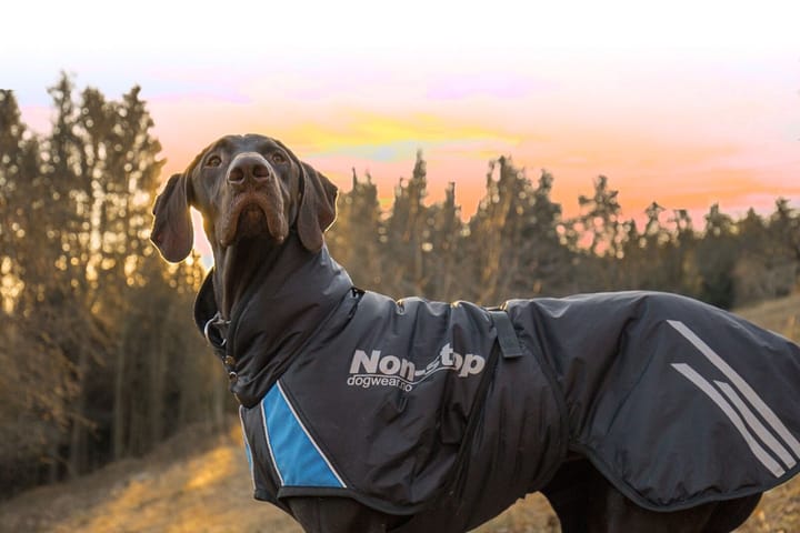 Non-stop Dogwear Pro Warm Jacket Black/Blue Non-stop Dogwear