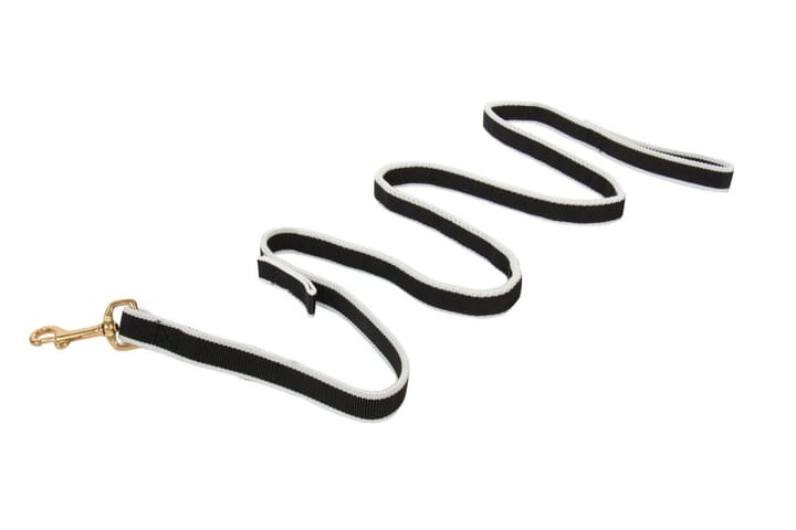 Non-stop Dogwear Bungee Leash Black/White Non-stop Dogwear