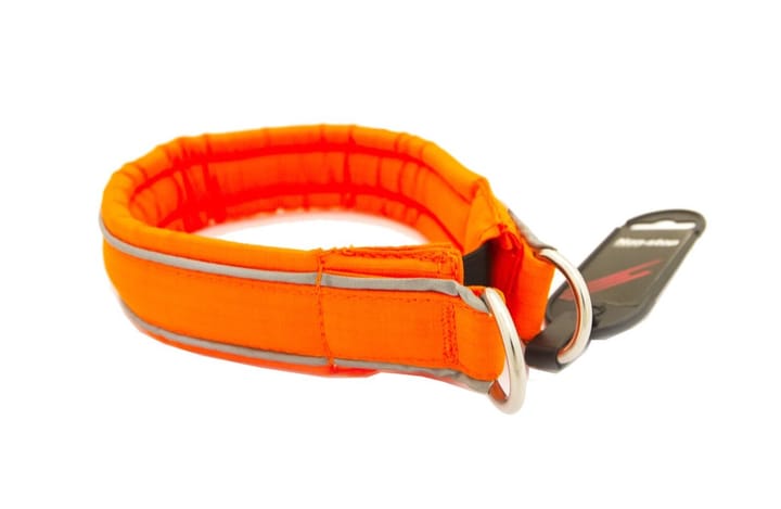 Non-Stop Dogwear Safe Collar Orange Non-stop Dogwear