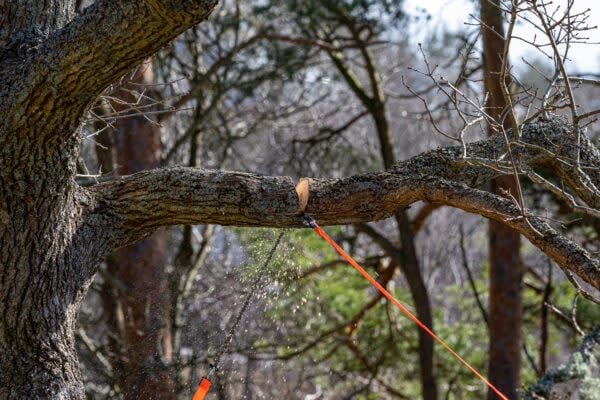 Arborist 2 Orange/Black Nordic Pocket Saw
