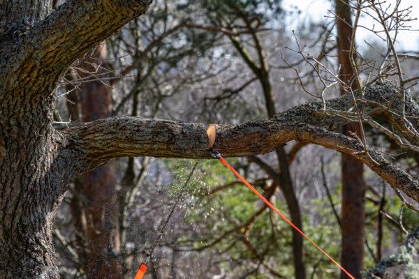 Nordic Pocket Saw Arborist 2 Orange/Black Nordic Pocket Saw Nordic Pocket Saw Arborist 2 Orange/Black Nordic Pocket Saw