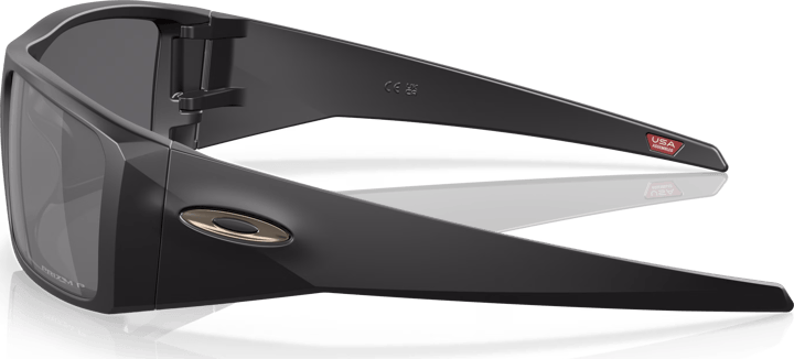 Oakley Heliostat Polarized Matte Black/Prizm Black Polarized Oakley