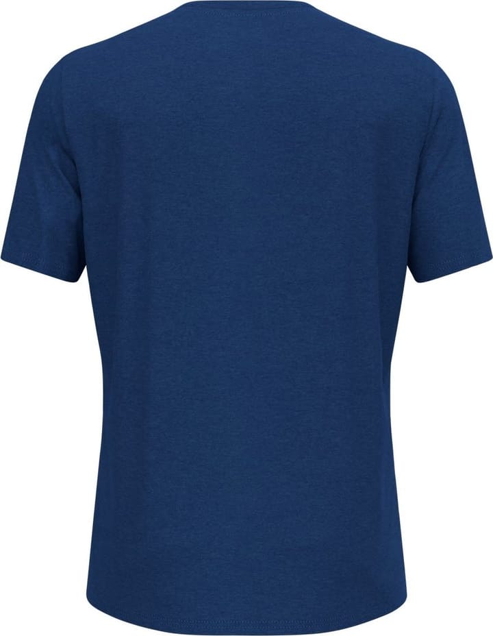 Odlo Men's Ascent Sun Sea Mountains T-Shirt Limoges Melange Odlo