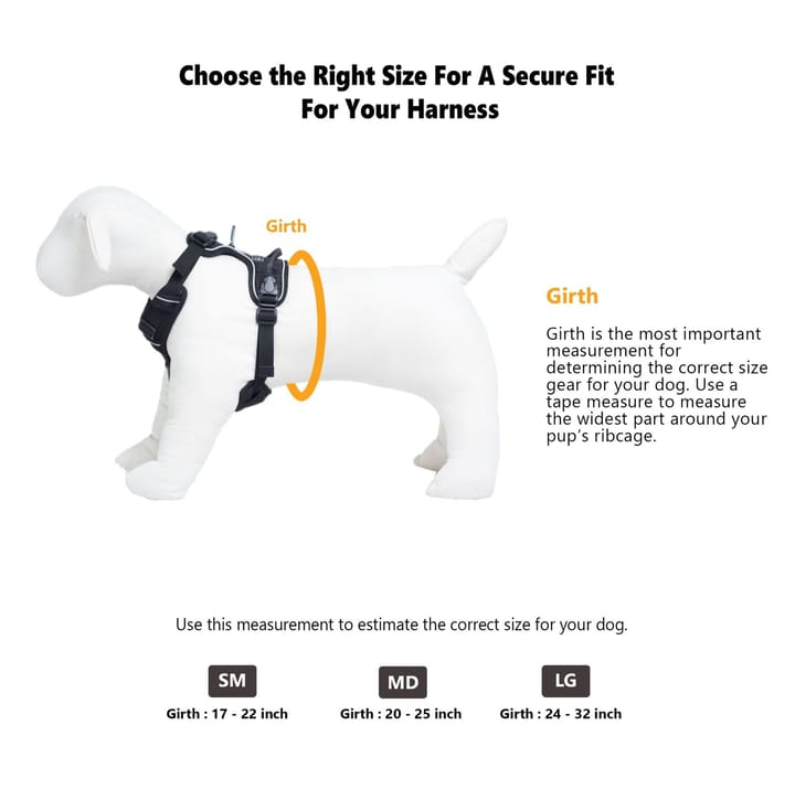 OllyDog Alpine Reflective Harness Flint OllyDog