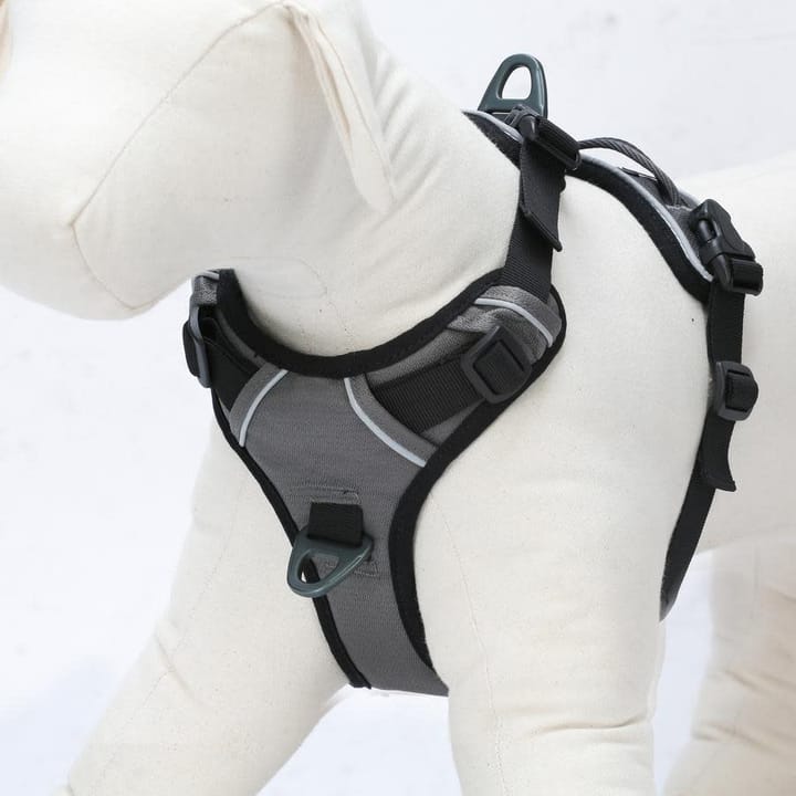 OllyDog Alpine Reflective Harness Flint OllyDog