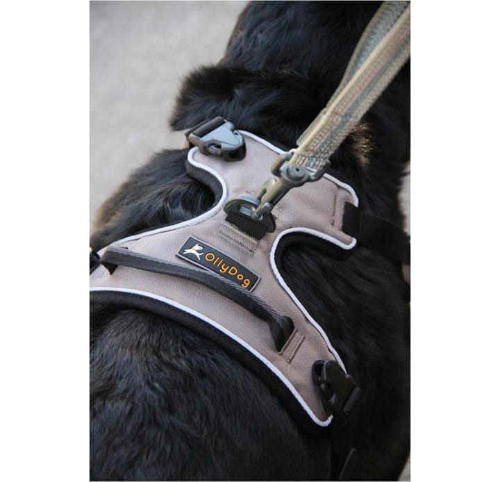 OllyDog Alpine Reflective Harness Flint OllyDog