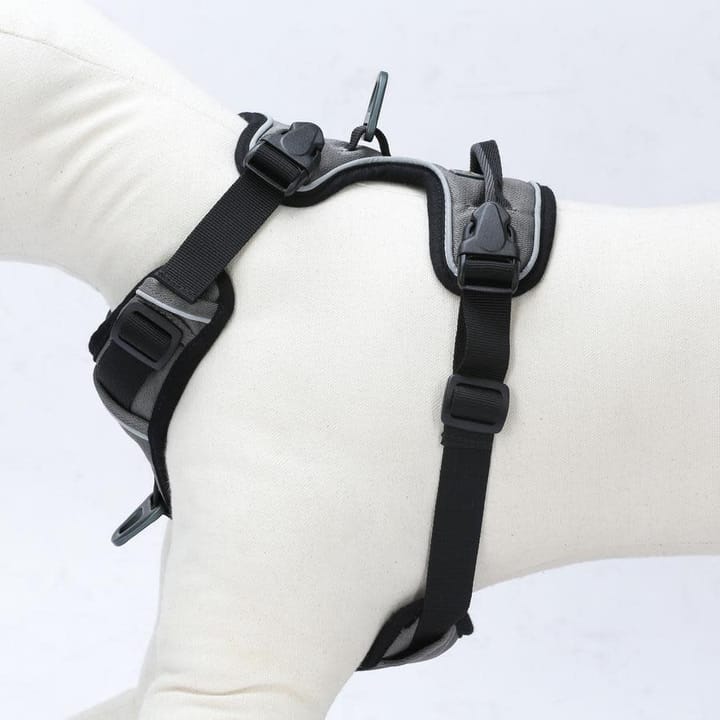 OllyDog Alpine Reflective Harness Flint OllyDog