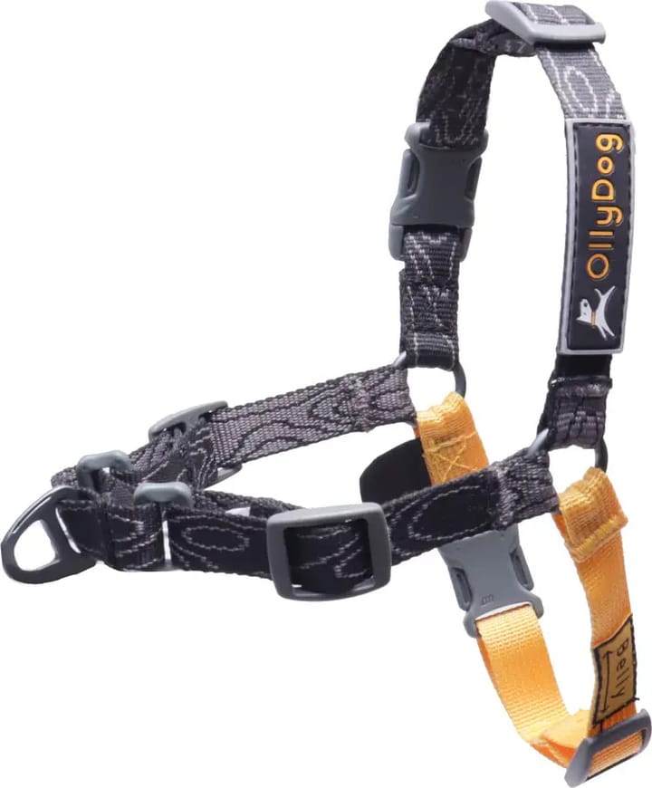 OllyDog Essential Harness Raven Bark OllyDog